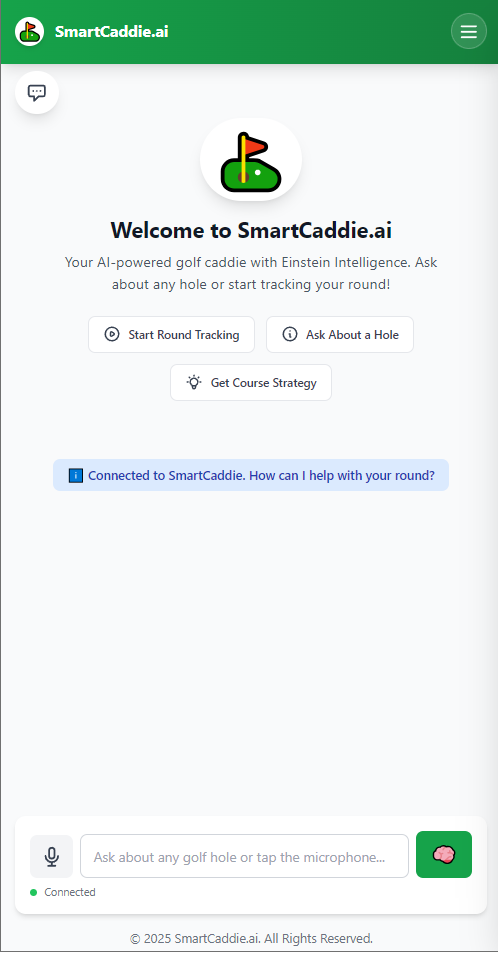 SmartCaddie Interface